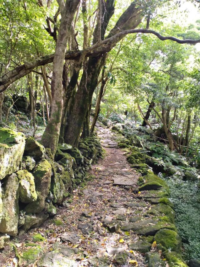 Alojamento Local M&I Lajes das Flores ภายนอก รูปภาพ